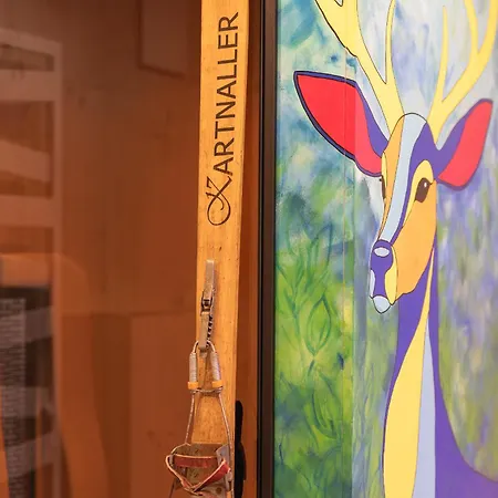 Art Appartement Neustift im Stubaital